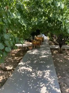 هتل کامفورت هاوس ارمنستان