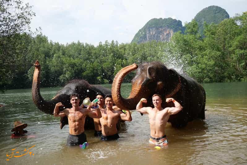 فستیوال آب‌تنی فیل‌ها (Elephant Bathing Festival)