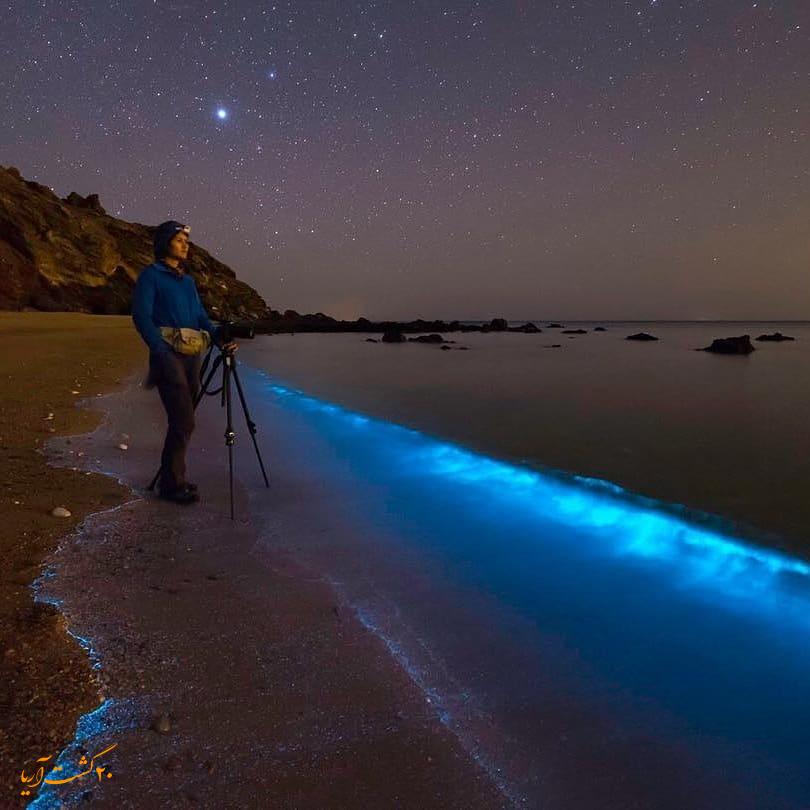 فیتوپلانکتون‌های قشم