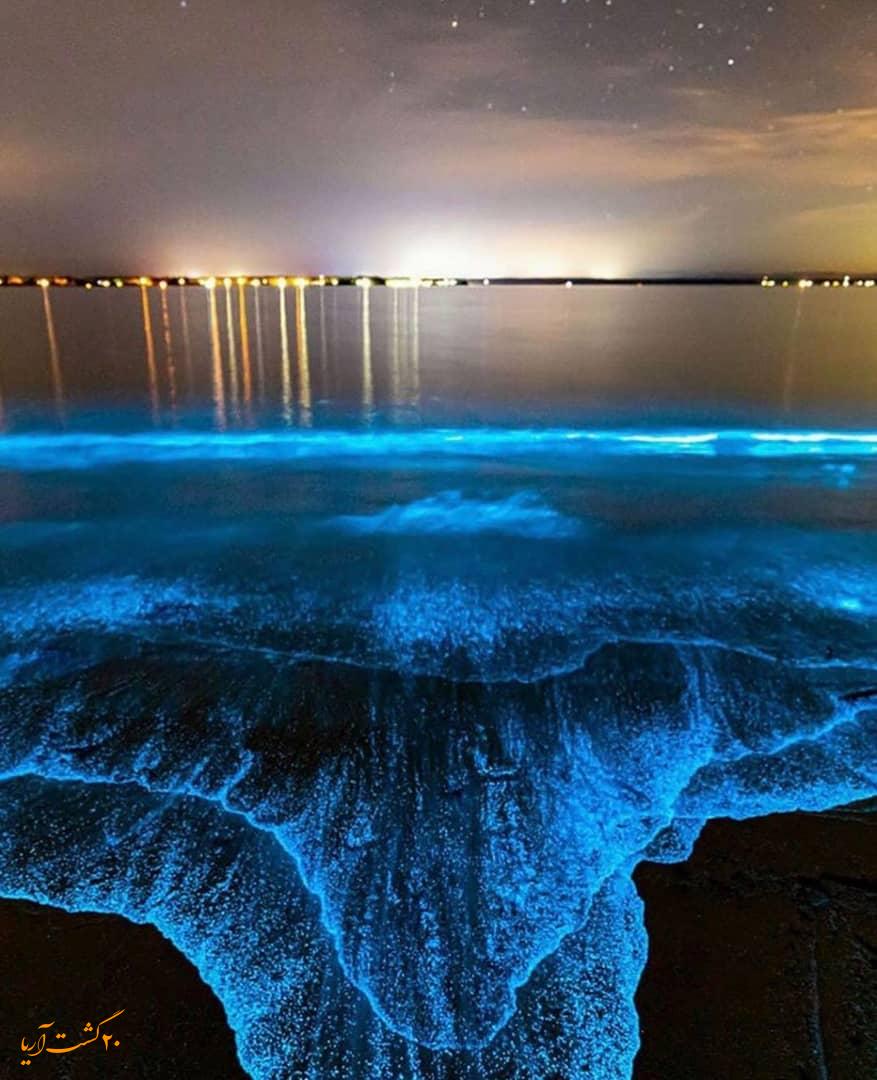 فیتوپلانکتون‌های قشم