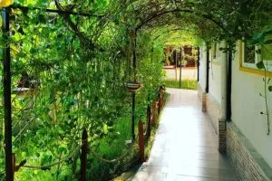 هتل بوتیک فولتون قشم