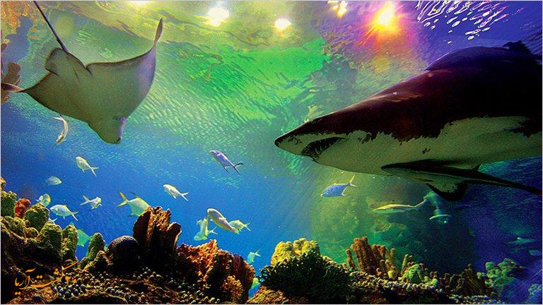 آکواریوم کوالالامپور