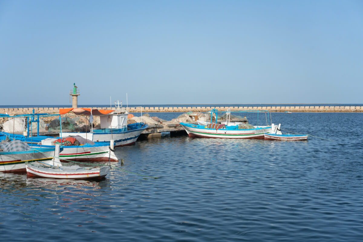 جزایر دیدنی تونس