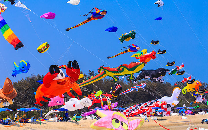 Kite Festival