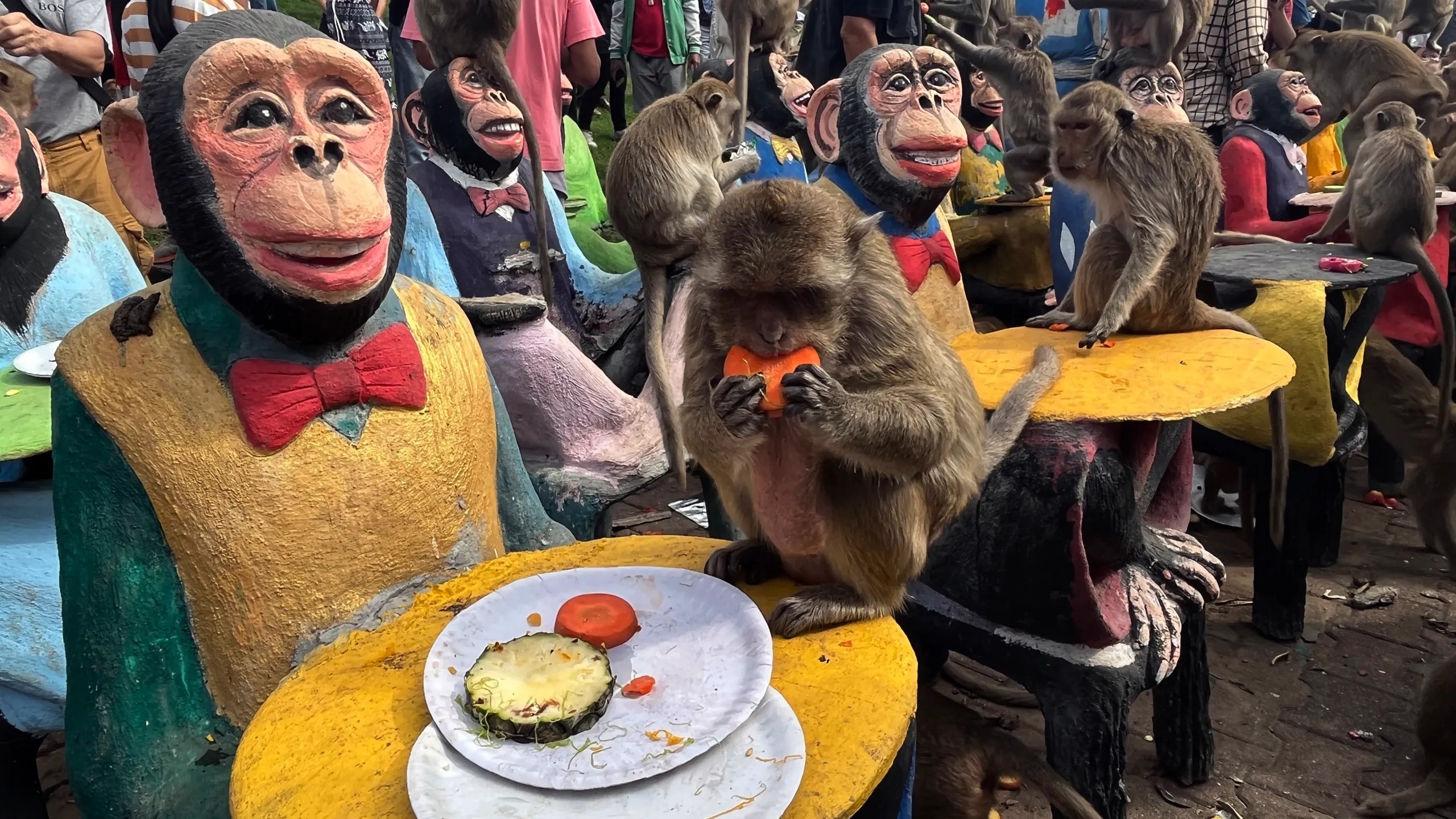 monkey festival